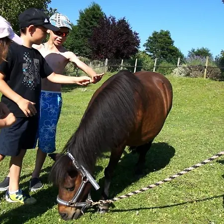 Village de vacances Le Hameau Des Genets Montlaur (Aveyron)