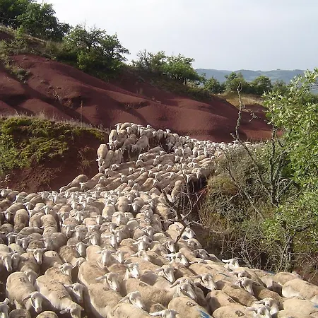 Village de vacances Le Hameau Des Genets