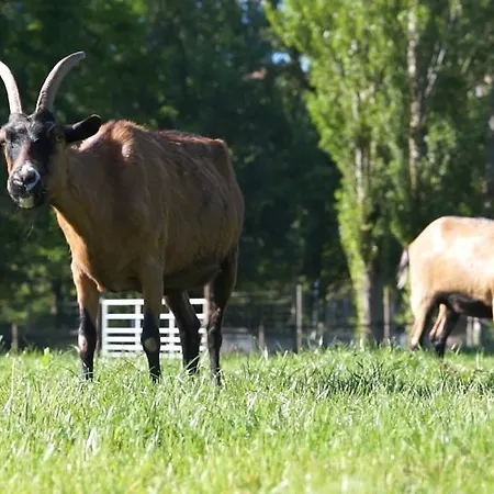Prázdninový areál Le Hameau Des Genets