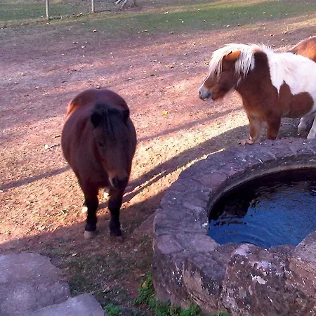 Le Hameau Des Genets