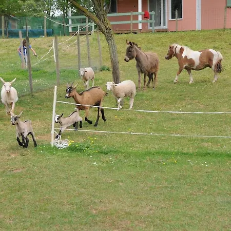 Le Hameau Des Genets Montlaur (Aveyron)