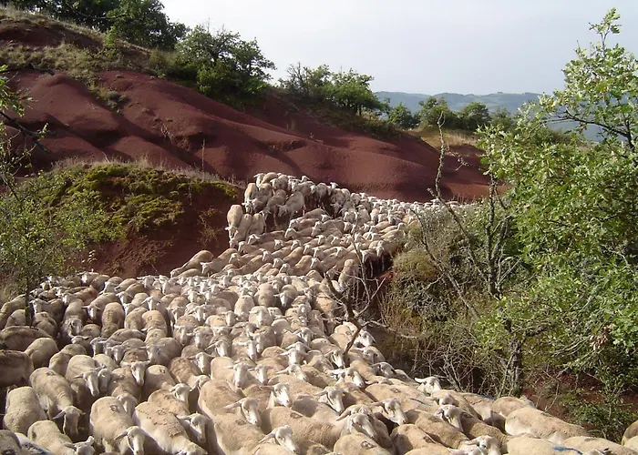 Le Hameau Des Genets 홀리데이파크 Montlaur (Aveyron)