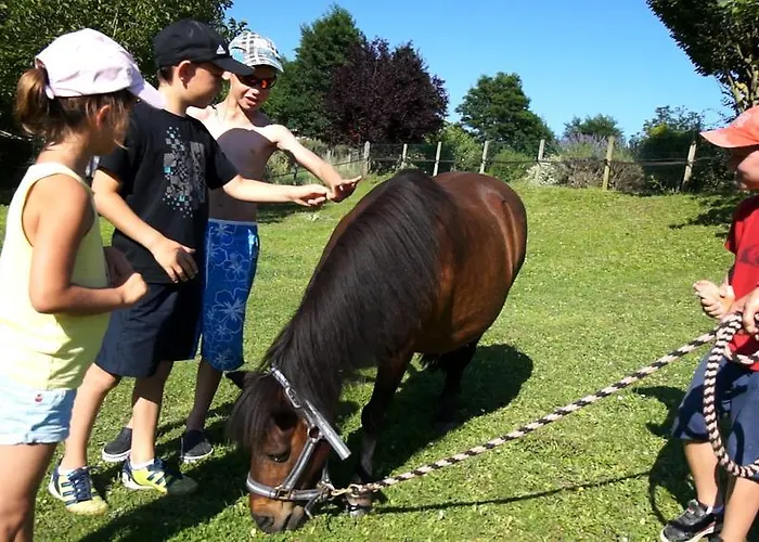 Vakantiepark Le Hameau Des Genets Montlaur (Aveyron)