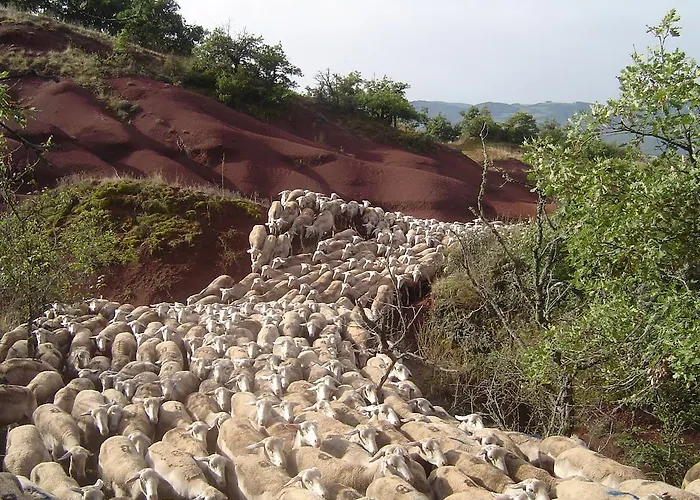 홀리데이파크 Le Hameau Des Genets