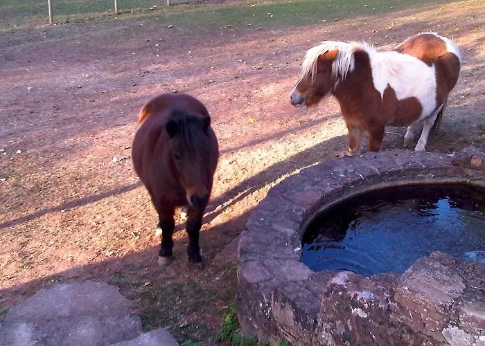 Le Hameau Des Genets
